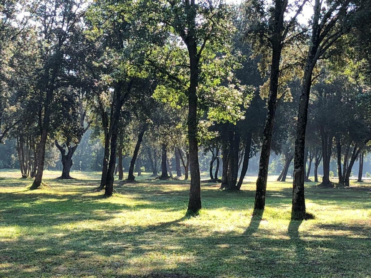 Domaine De Bracciole Villa Corte  Kültér fotó